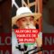 ¡La llamada del presidente y los ‘puros’ de Alofoke!