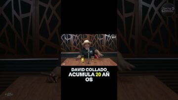 David Collado  ¿Zorro Joven con 20 Años en Política?