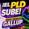 Lo que dice la Gallup: ¿El PLD dominando el tablero politico?